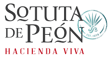 Sotuta